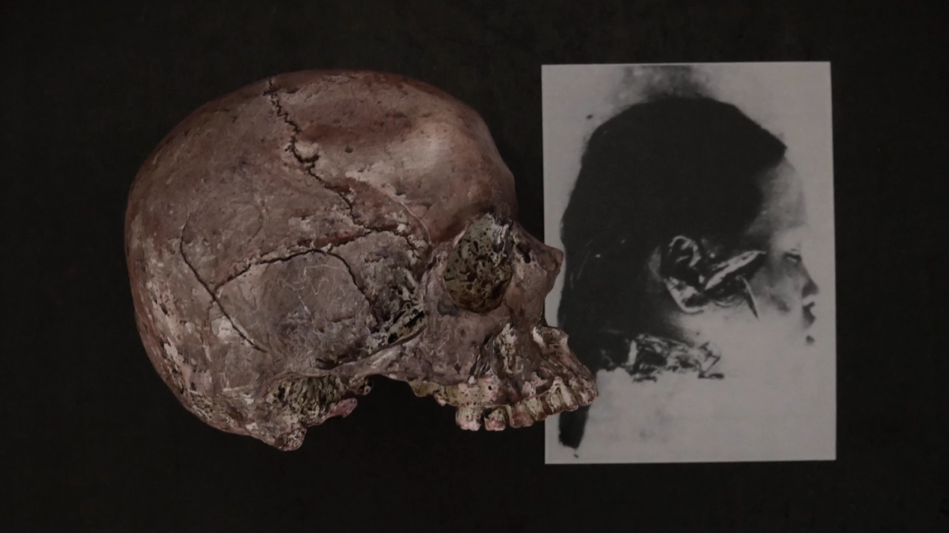 槍砲、頭顱與骸骨